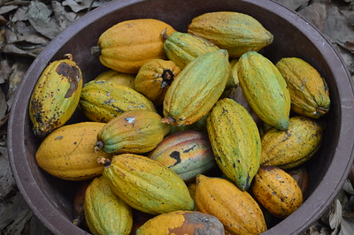 10860841804 9A52d88bbc W (1)